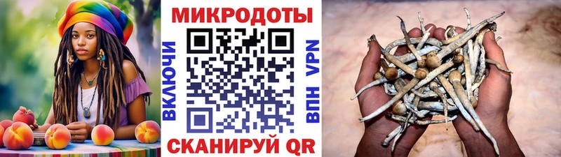 Псилоцибиновые грибы GOLDEN TEACHER  MEGA зеркало  Сычёвка  наркотики 